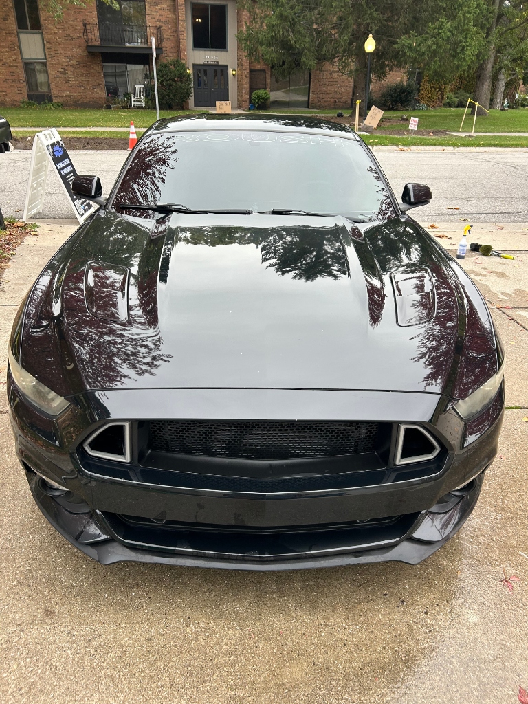 Black Mustang Detail